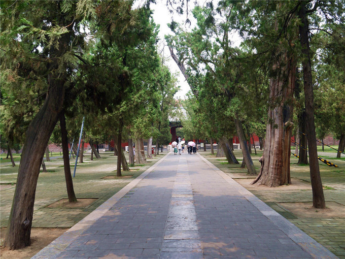 鏇查槣瀛斿簷鍥涘杞洖,鏇查槣瀛斿簷涓囦笘甯堣〃鍖鹃