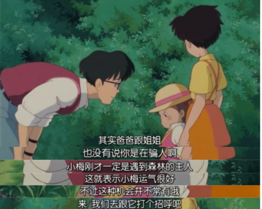 如何跟龙猫快速增进感情,龙猫感情培养