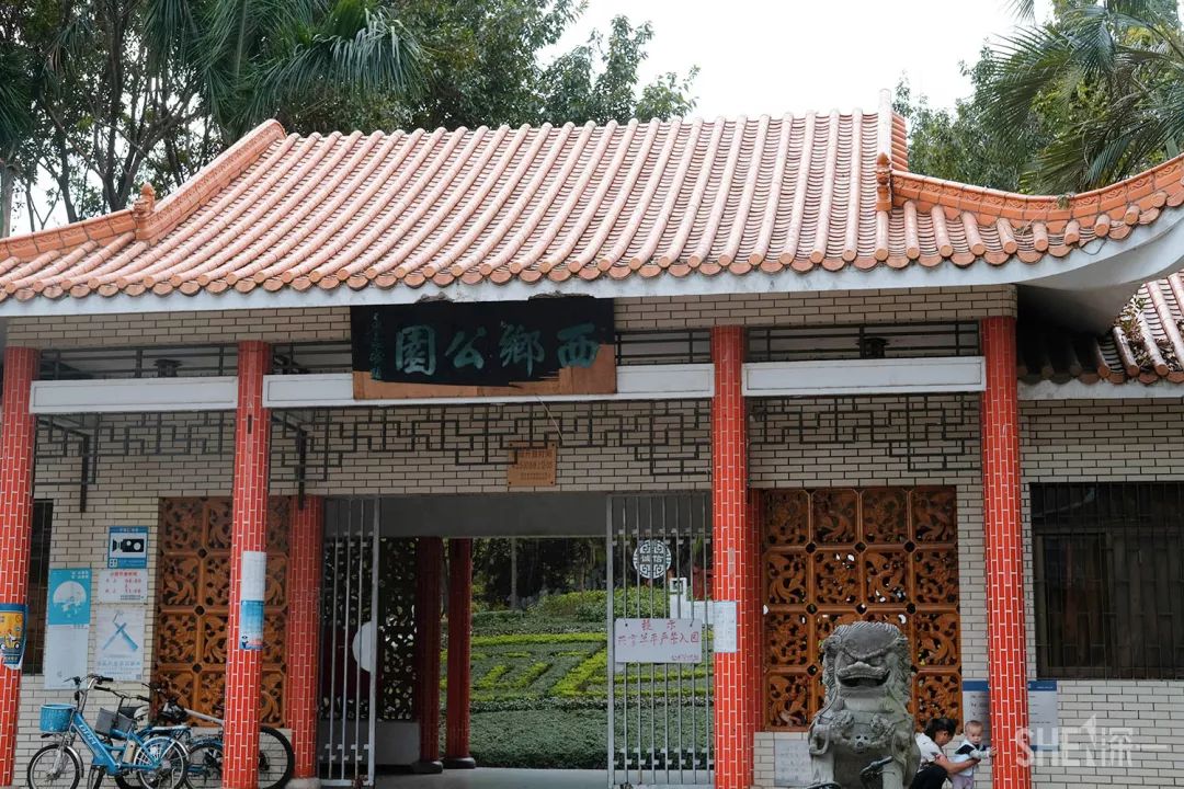 别总去大沙河了！深圳这条极少有人知道的河流，更神秘