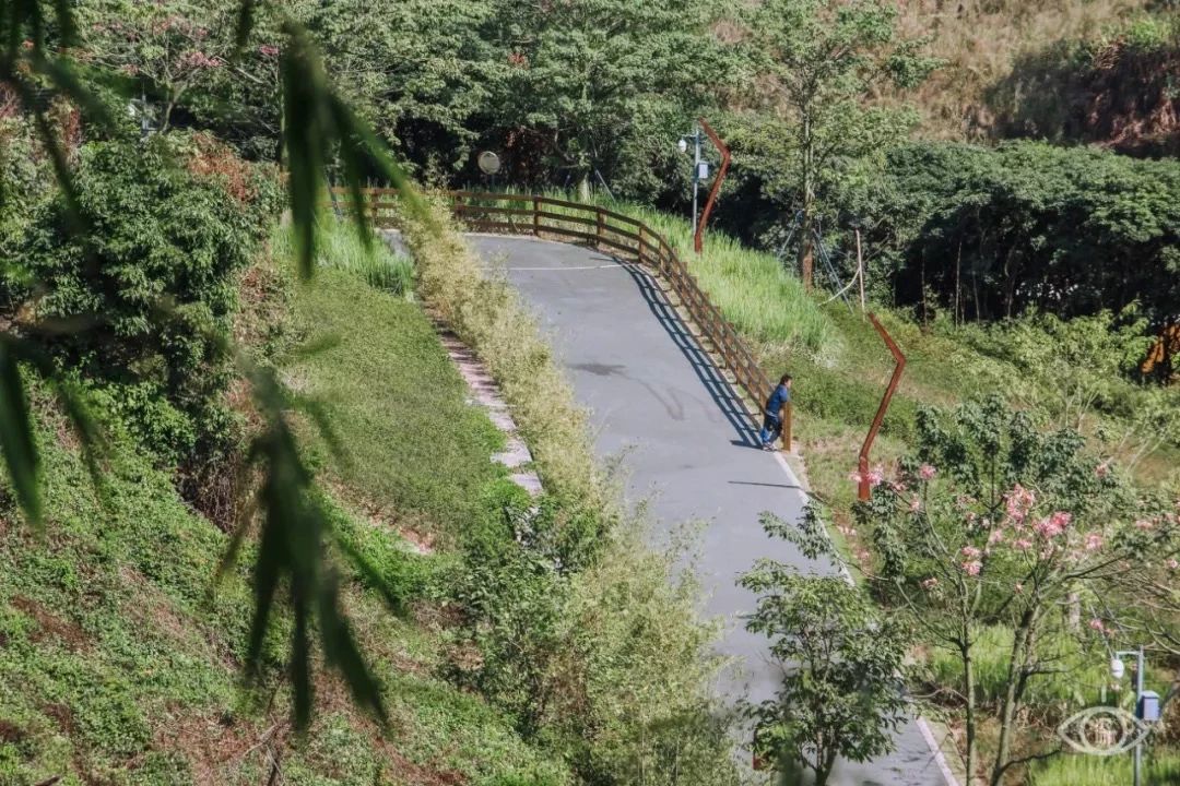 放假在深圳能去哪里玩,放假了能够去深圳的哪些地方玩