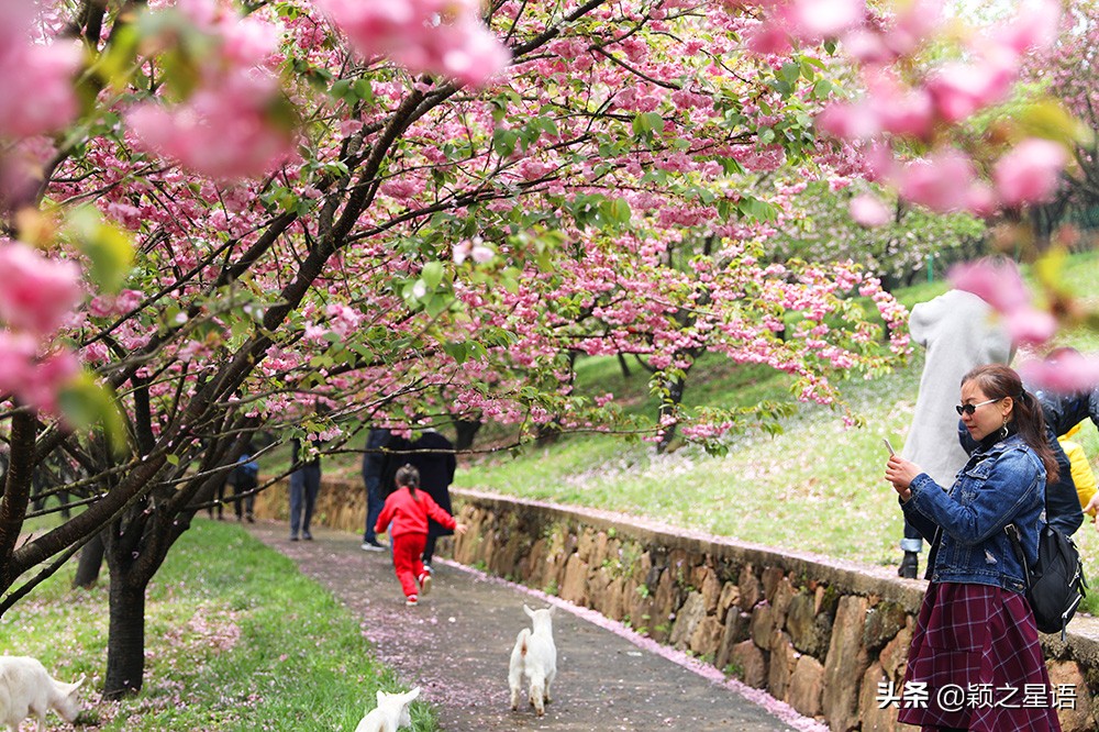 四明山十大观景台排名,四明山观景平台海拔
