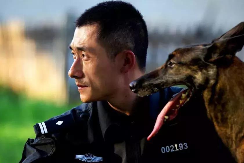 盘点那些壮烈牺牲的警犬 (警犬都有一段撼人心魄的故事)