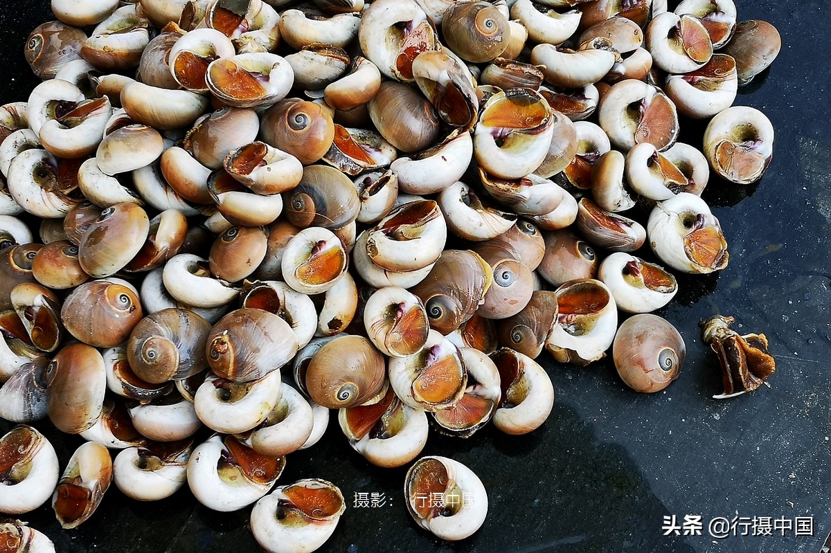 辽宁一座被遗忘的地方,辽宁沈阳东北第一城