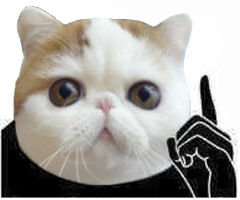 如何选择无线路由器,无线中继路由器怎么设置