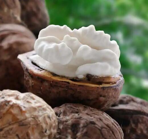 云南高山土特产新鲜去青皮湿核桃,云南生核桃鲜核桃