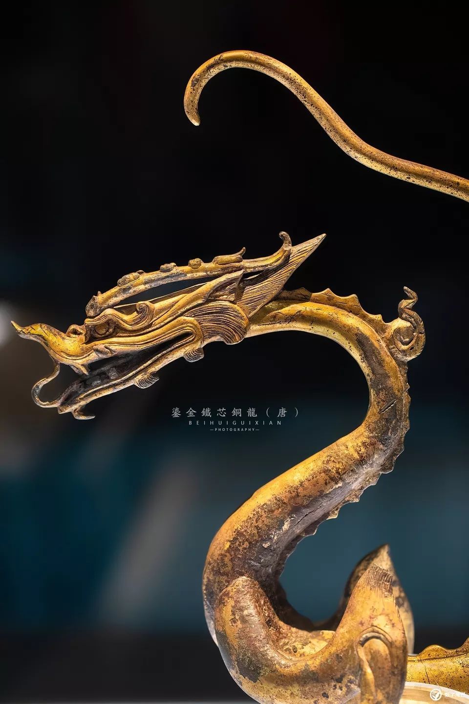 一起去博物馆发现古老的神器,陕西历史博物馆游览全攻略