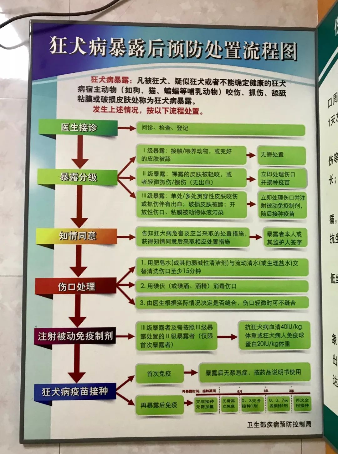 被狗咬出血了先怎么处理,被狗咬出血了如何处理伤口