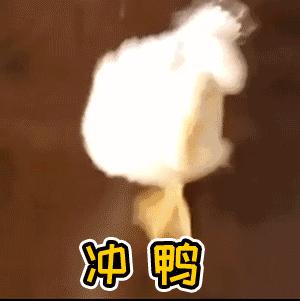 最近最爱的单品,受欢迎的单品合集