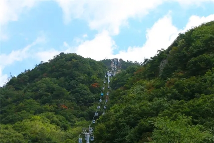 南阳市高性价比的景区,南阳农家乐旅游景点