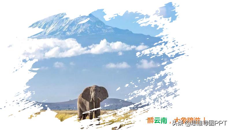 如何搞定ppt素材,ppt素材自学入门完全教程