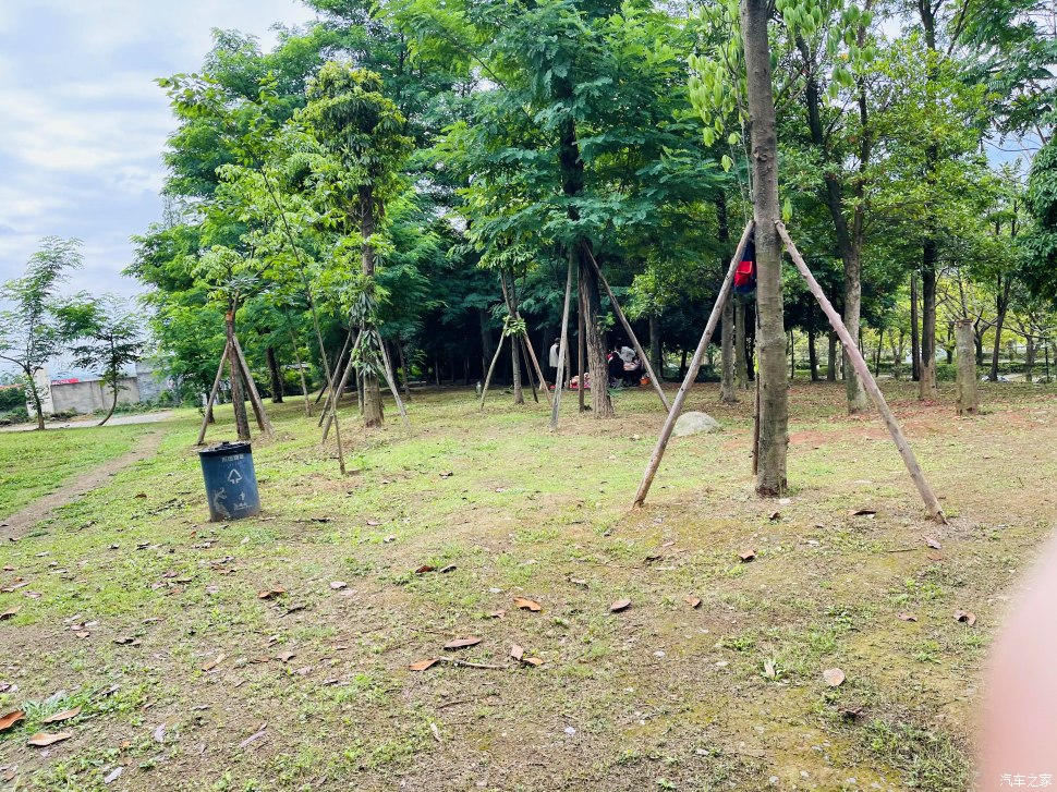 成都凤凰山公园能够爬山吗,成都凤凰山公园有什么好玩的