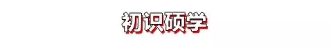 会计大专读完再读本科，来，我给你讲讲她的故事