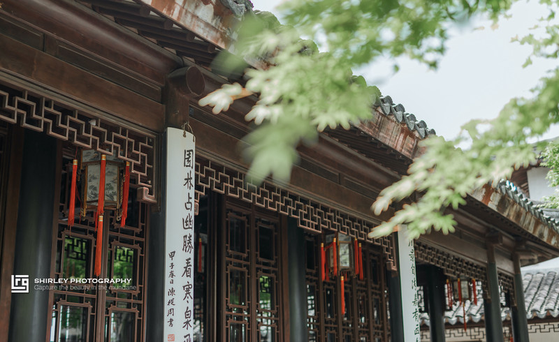 苏州旅游最不能错过的江南园林,留园拙政园是苏州著名的园林