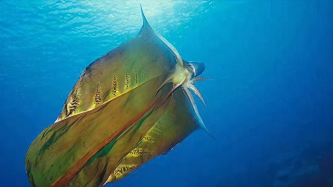 很冷很冷的冷知识一年级,27个让你脊背很冷的的猎奇冷知识