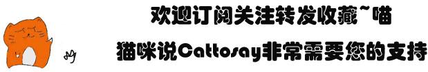 夸猫猫可爱的话,夸猫猫听话