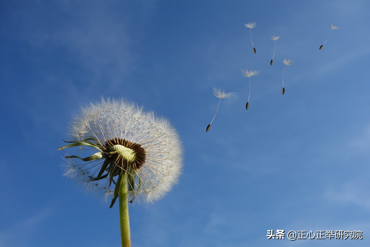 百毒不侵的人擅长做什么,面对优秀的人怎么做到不卑不亢