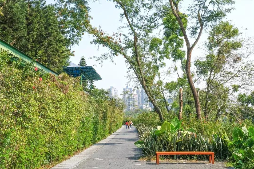 深圳世界之窗充满回忆,深圳世界之窗景点大全