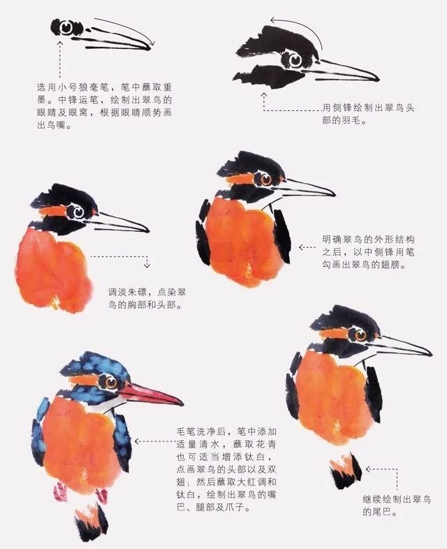 国画怎么把鸟画的活灵活现,如何画鸟要好看