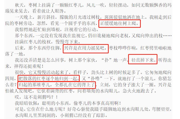 刺猬除了刺猬粮啥也不吃,刺猬爬枣树