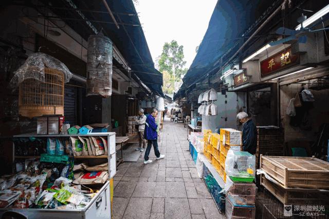 香港小众地点大全,香港最好逛的地方