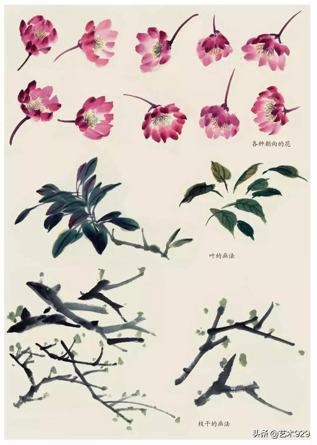 国画技法工笔花卉配色与花叶染法,国画欣赏精致的工笔彩色花卉