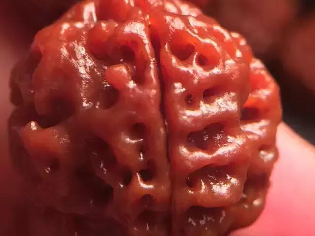 金刚菩提表面纹路磨损,金刚菩提脖串什么纹路的好