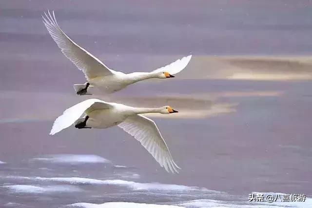 山东夏天值得去的旅游景点,夏天合适去的湖泊