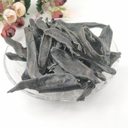 农村常见的“吸血虫”，想不到还有这么高的药用价值，你认识吗