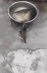 只能亮度调亮才能看得懂的梗,调高亮度才能看懂的梗