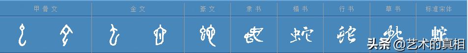 十二生肖中的象形字的演变,十二生肖字的演变