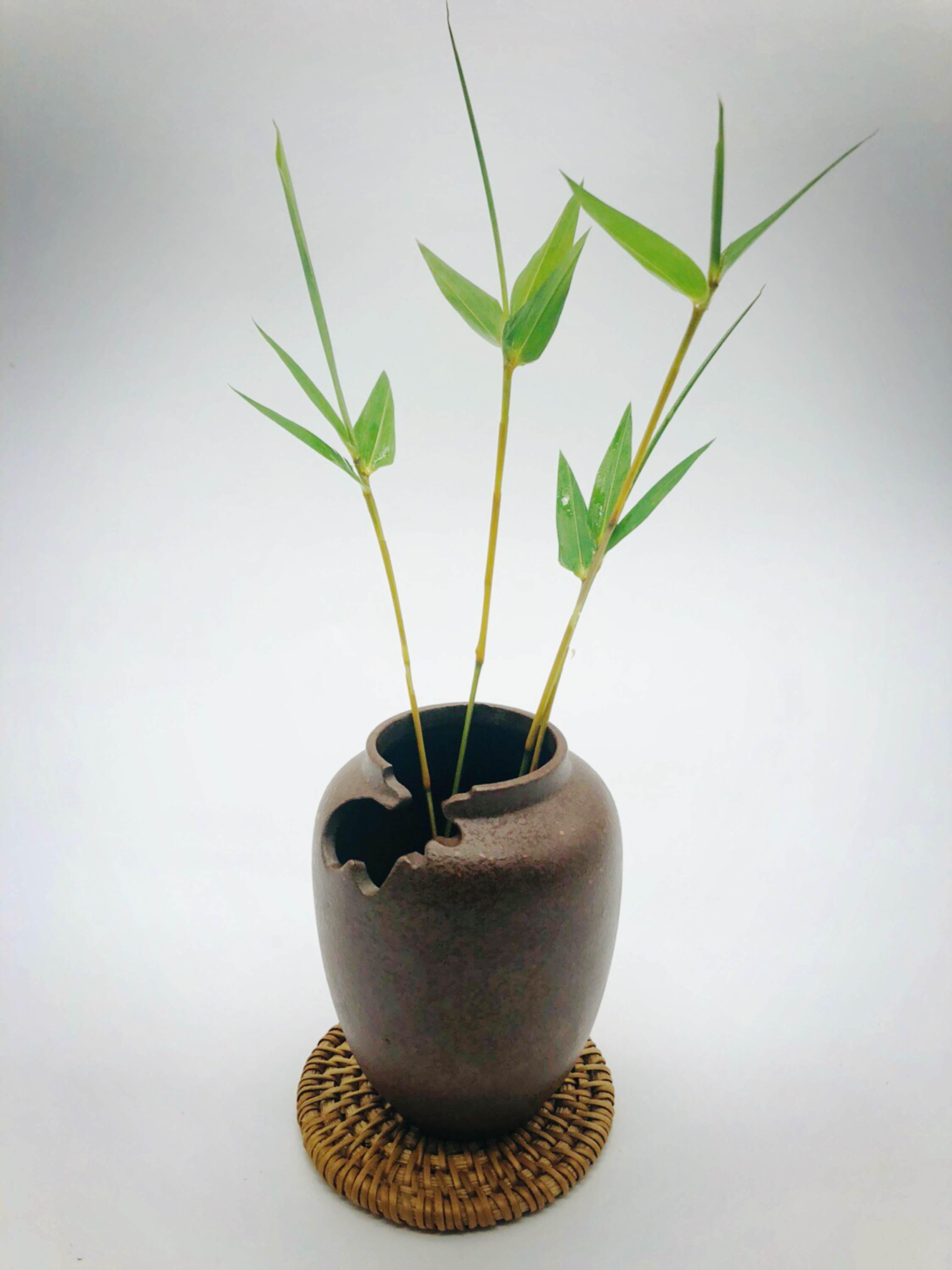 御庭集团倾情打造餐饮新品牌“蘇一”尽享疯狂主厨带来的创意私宴