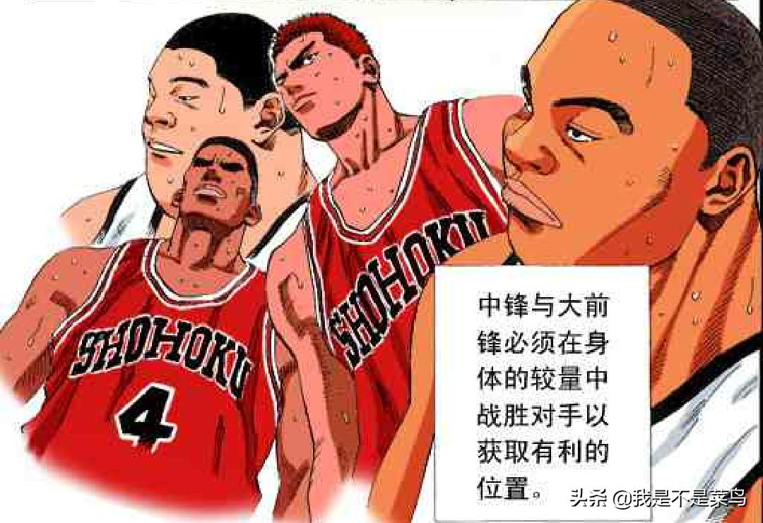 灌篮高手泽北荣治真实实力,灌篮高手第一球员泽北荣治