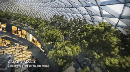 耗资85亿，把瀑布、热带雨林搬进机场！樟宜机场终于要开放了