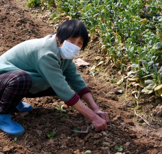疫情防控期间开展志愿便民服务,疫情防控社区志愿者上门扫码