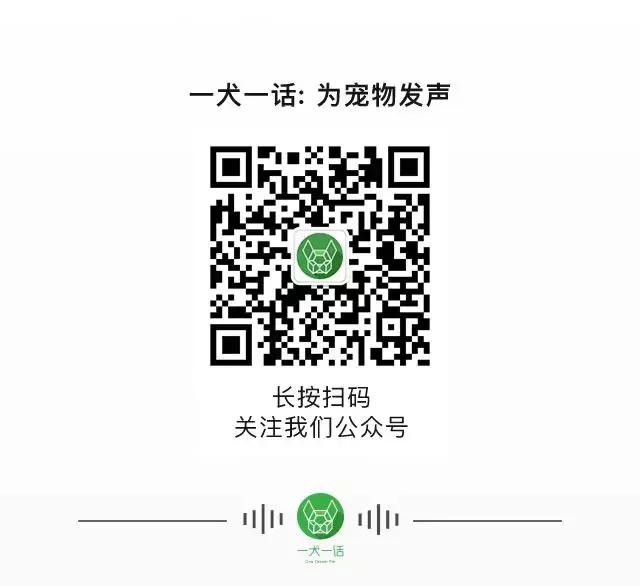 狗狗肉垫护理视频,夏季狗狗冰垫