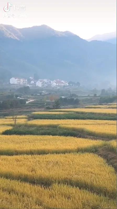 没有丁真，多少人知道理塘？丨地球知识局