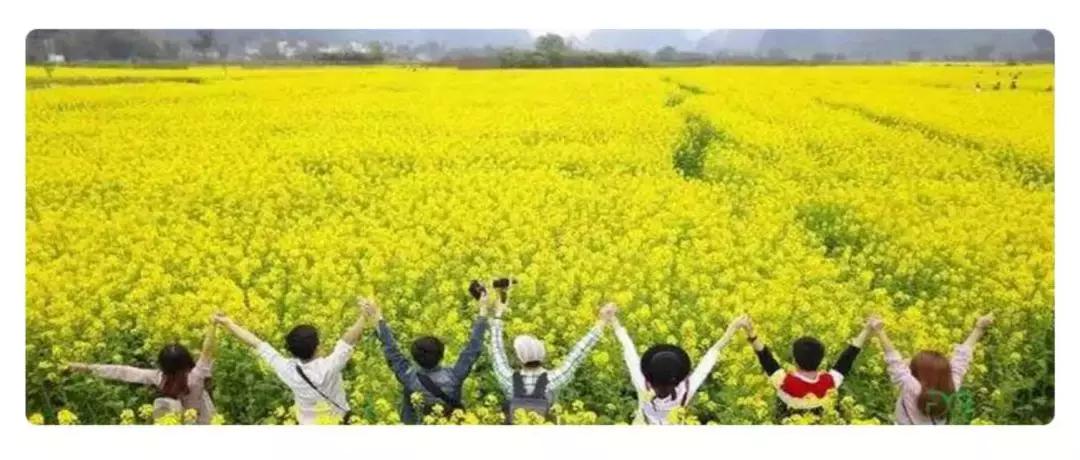 优乐汇团购套餐,优乐汇最新信息