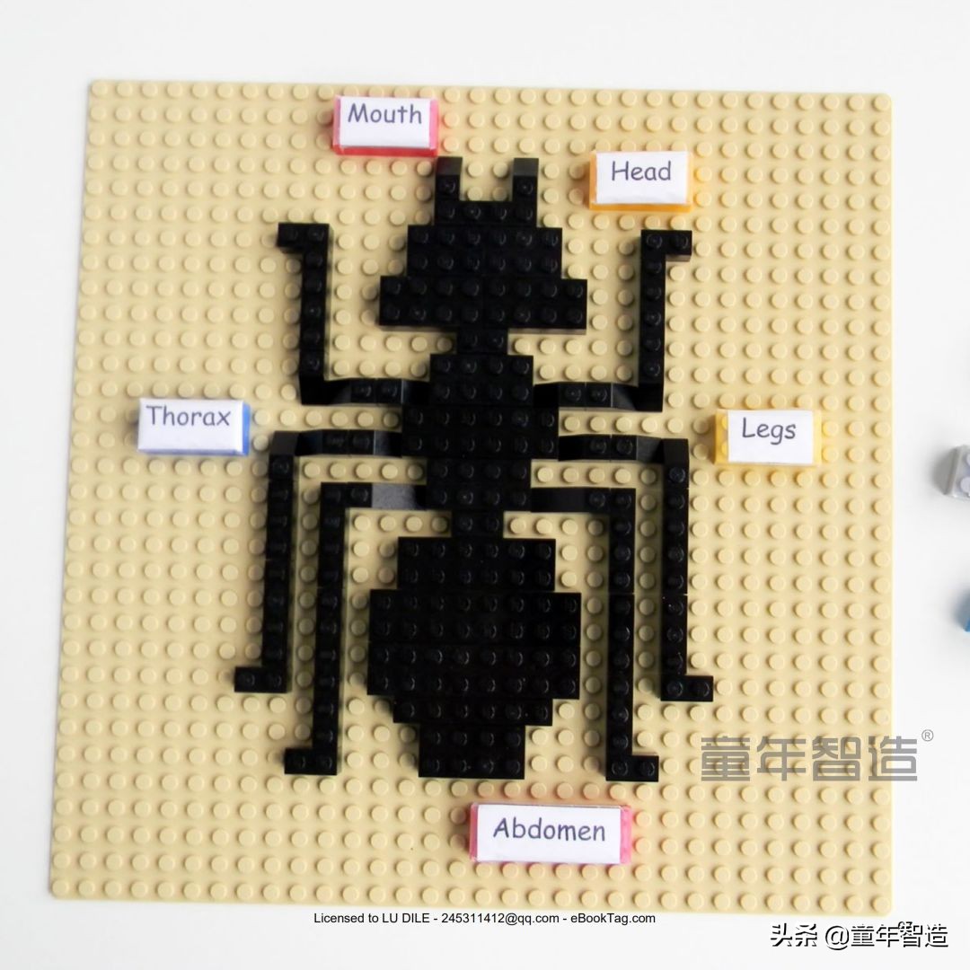 用积木做出好玩的乐高,用乐高积木给你拼出怎样的科技