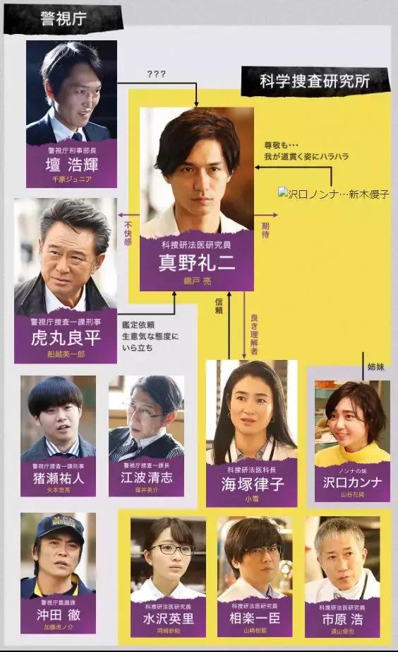 2019完全电视剧,2019冬剧场动画