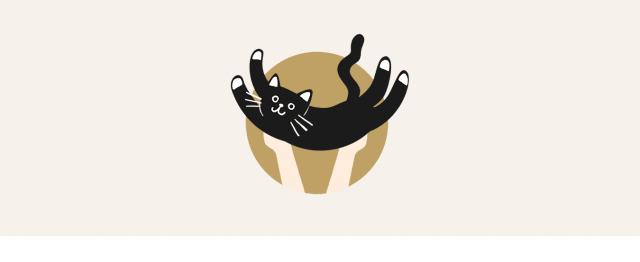 猫粮黄曲霉素中毒,猫吃了毒猫粮慢性中毒