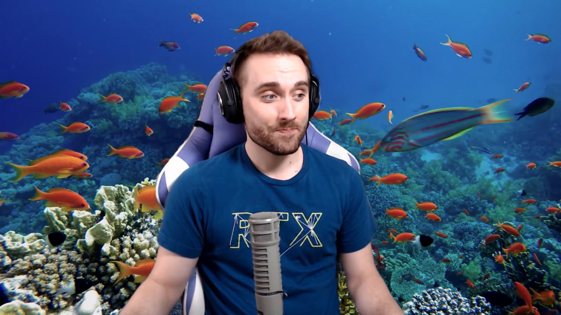 英伟达rtx直播间,英伟达rtx2060直播能够吗