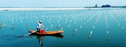 戴上珍珠发夹就是小仙女,当女人戴上眼镜