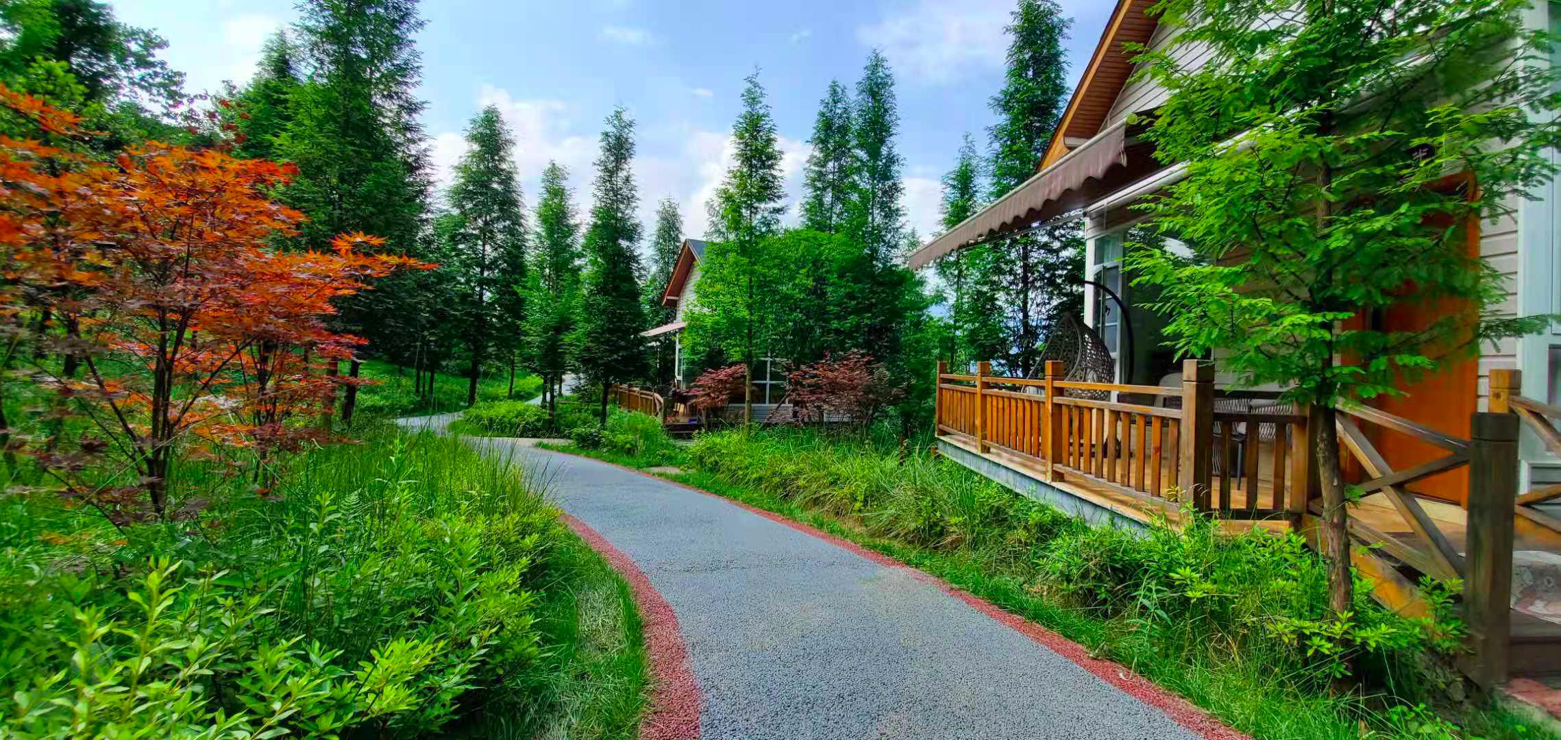 成都周边合适周末露营的地方,成都免费露营生火过夜地点推荐