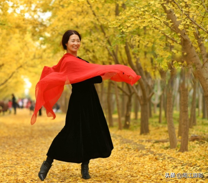 卖不掉的银杏树苗，如今成了乡村旅游热点