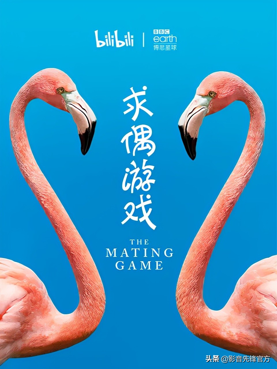 这么多限制级的画面和台词，竟然都能免费观看