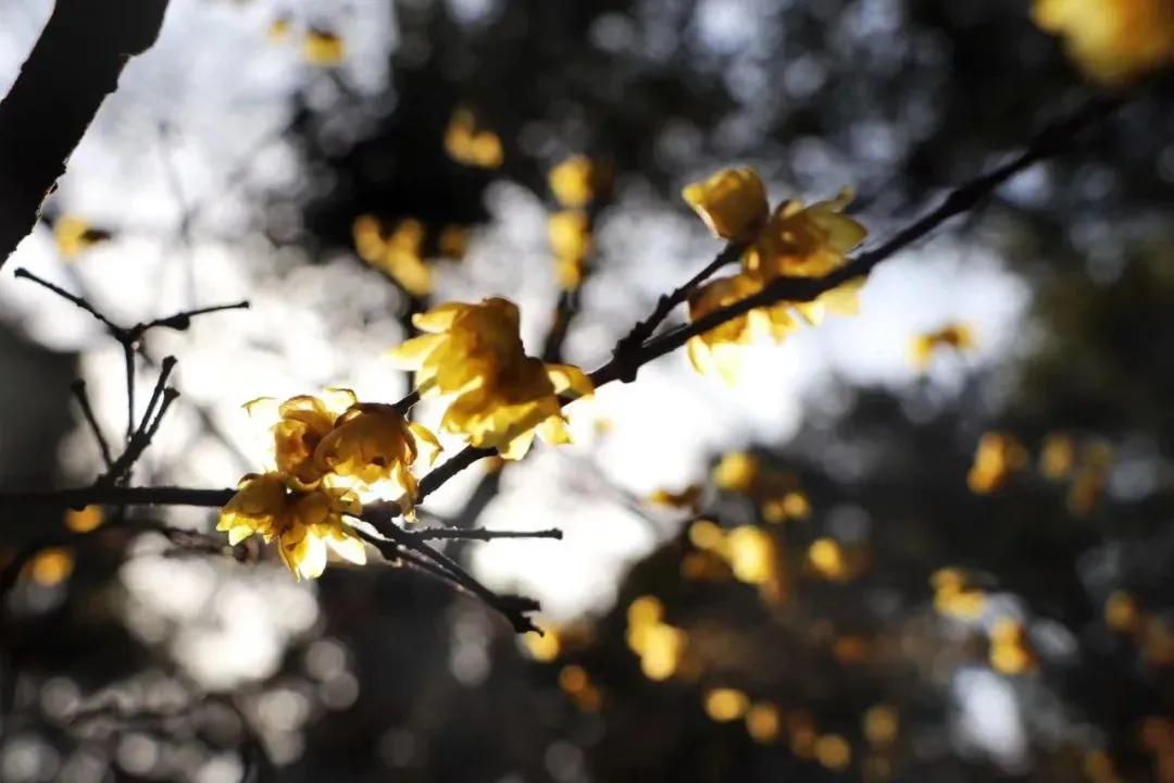 双节星空摄影作品欣赏,一组美丽的星空摄影作品