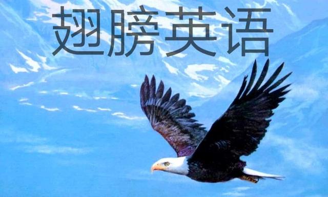 英语名词章节讲解,英语名词初级教学
