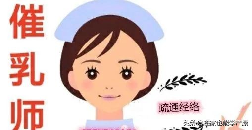 石头奶什么时候能够正常下奶,涨奶变成石头奶怎么破