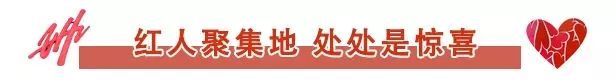 红人节郑州,郑州国庆网红美食节