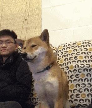 大哥，我心疼我的小车十分钟啊